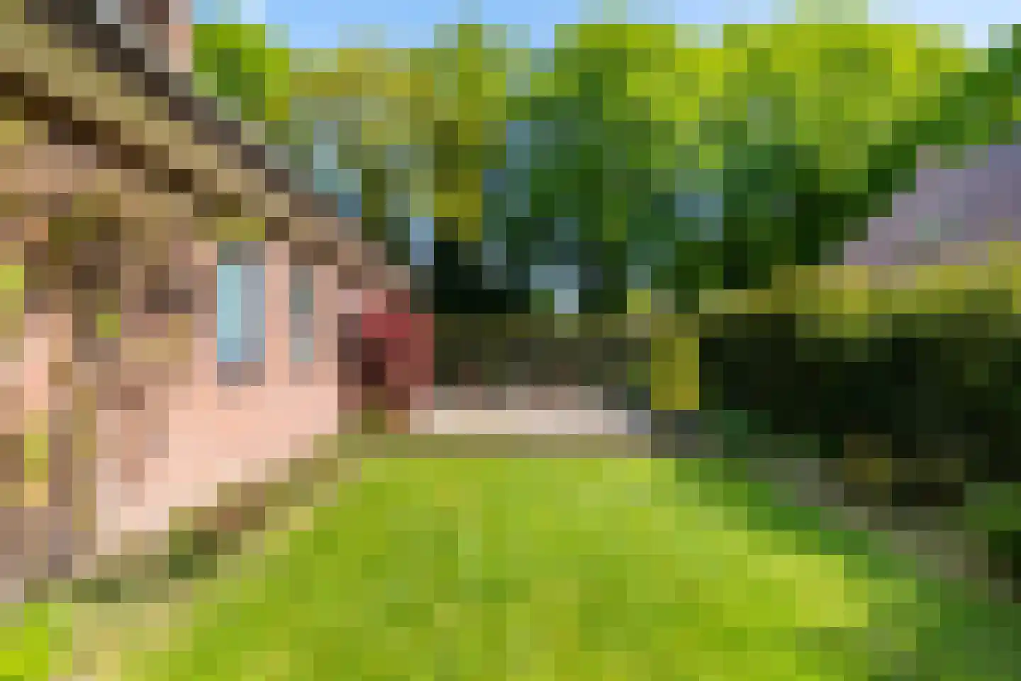 Dorpsstraat 80 Vriescheloo thumbnail 43