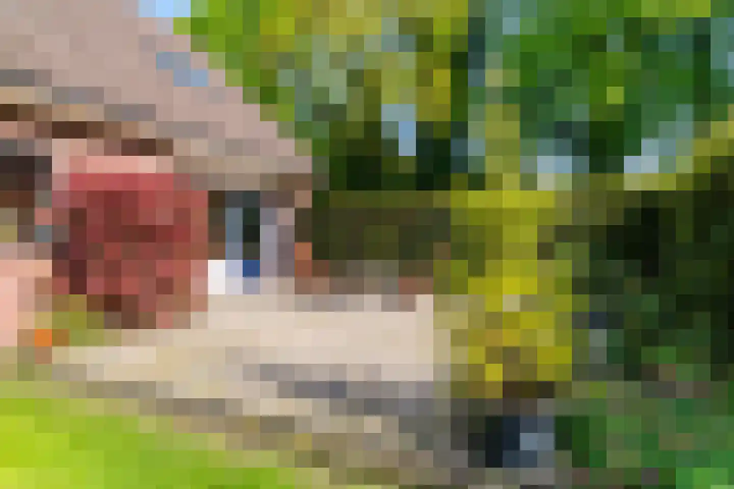 Dorpsstraat 80 Vriescheloo thumbnail 44