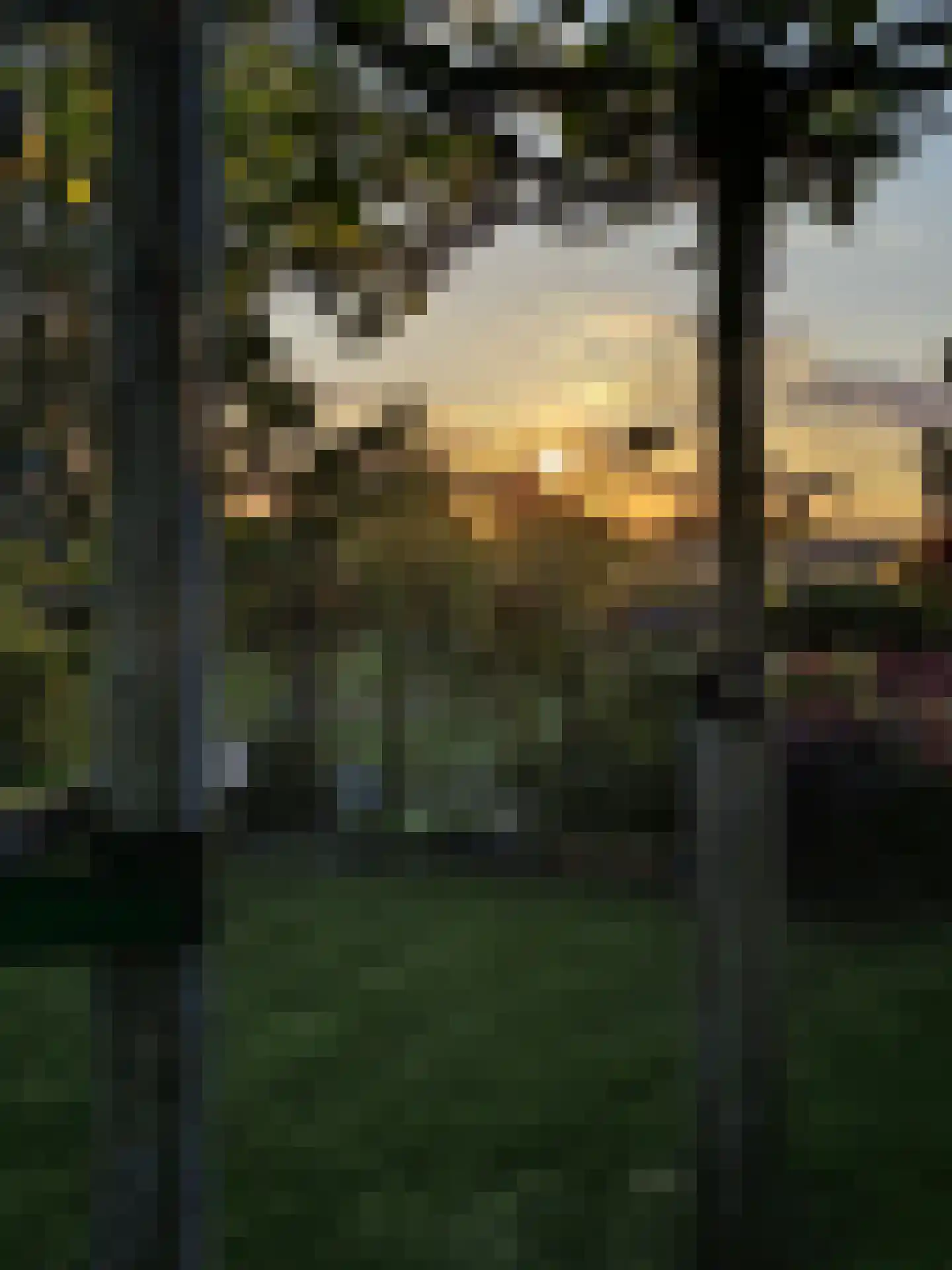 Dorpsstraat 80 Vriescheloo thumbnail 51