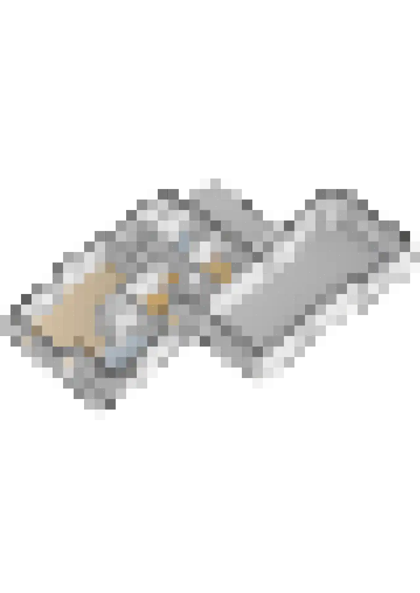 Dorpsstraat 80 Vriescheloo thumbnail 56