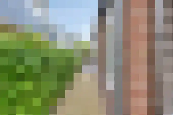 Dorpsstraat 80 Warmenhuizen thumbnail 10