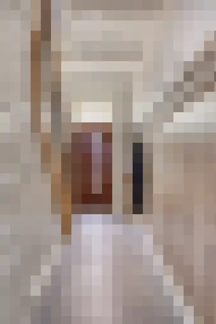 Dorpsstraat 80 Warmenhuizen thumbnail 14