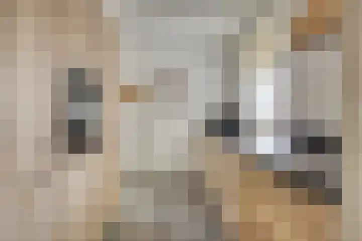 Dorpsstraat 80 Warmenhuizen thumbnail 27