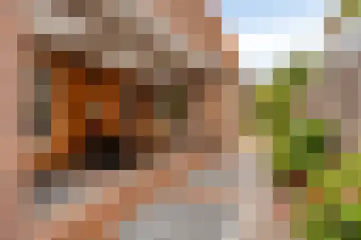 Dorpsstraat 80 Warmenhuizen thumbnail 54