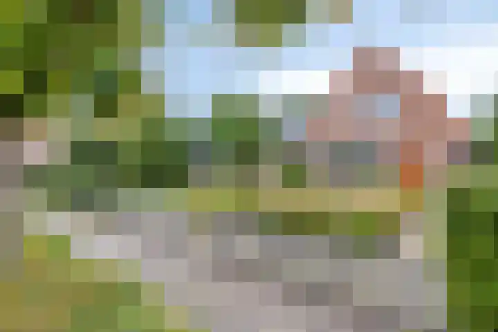 Dorpsstraat 80 Warmenhuizen thumbnail 7