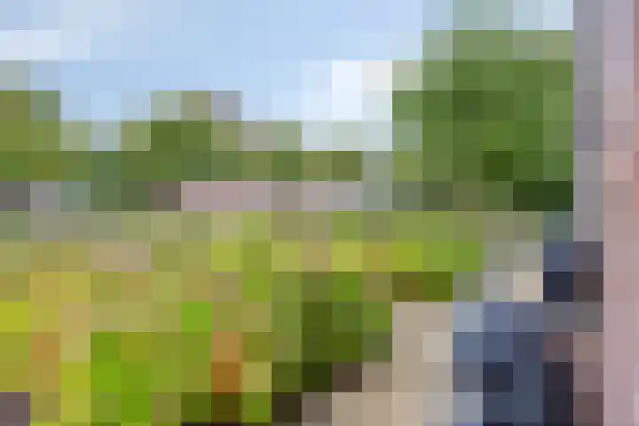 Dorpsstraat 80 Warmenhuizen thumbnail 9