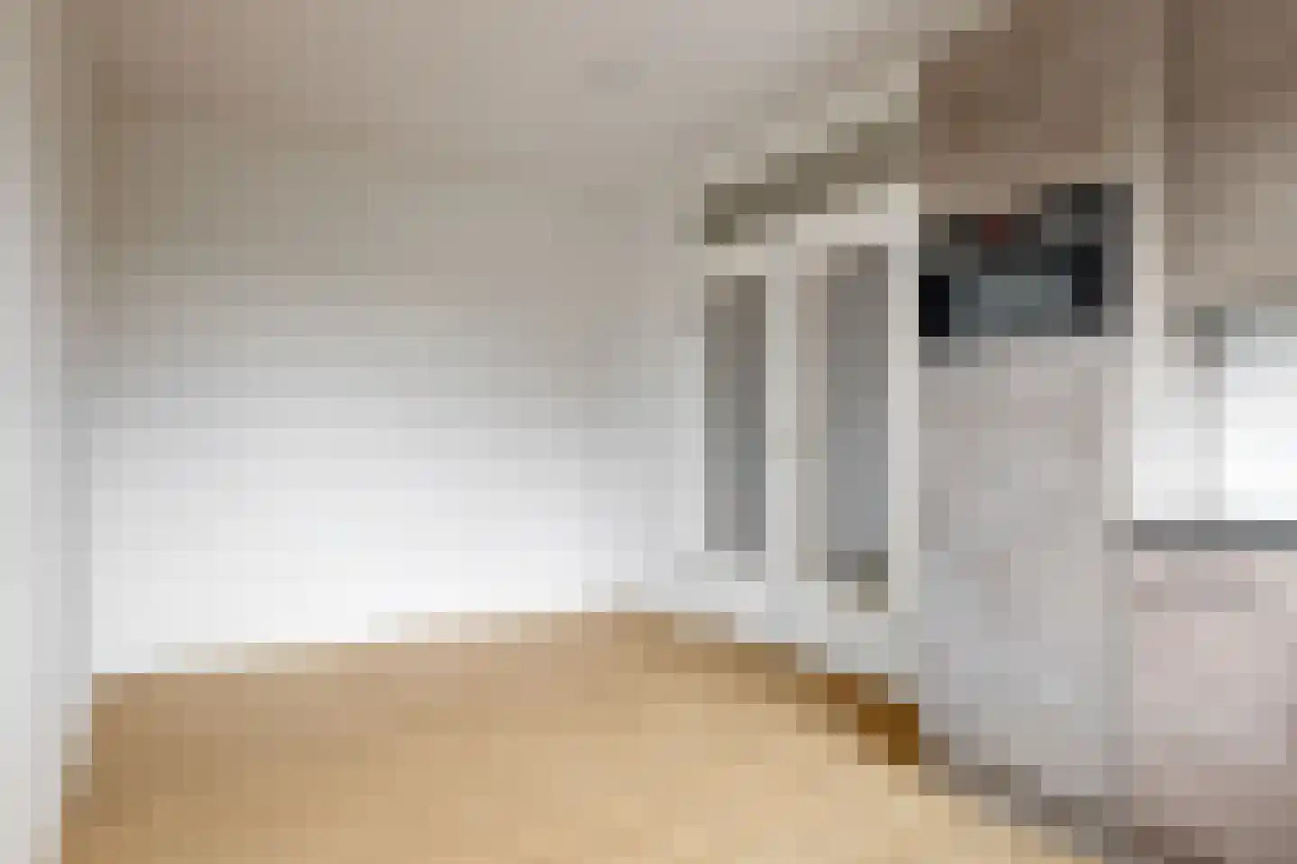 Dorpsstraat 80 Zwaag thumbnail 21