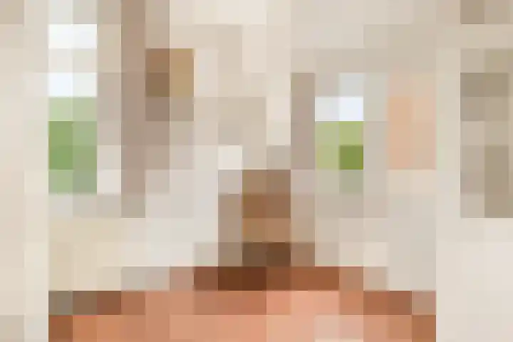 Dorpsstraat 806 Assendelft thumbnail 32