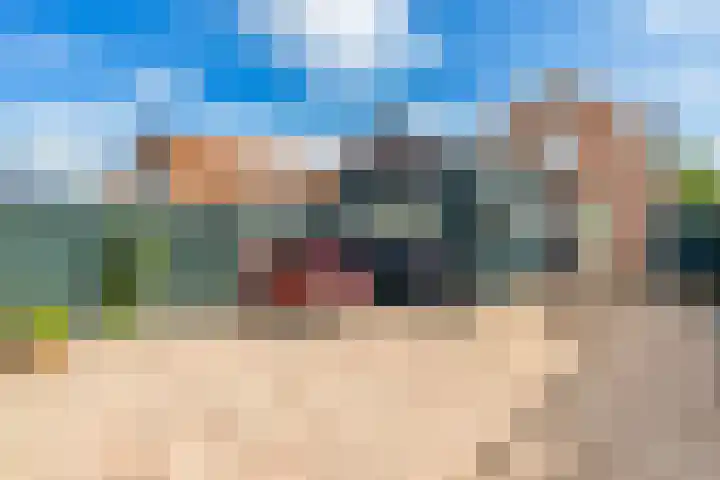 Dorpsstraat 806 Assendelft thumbnail 4