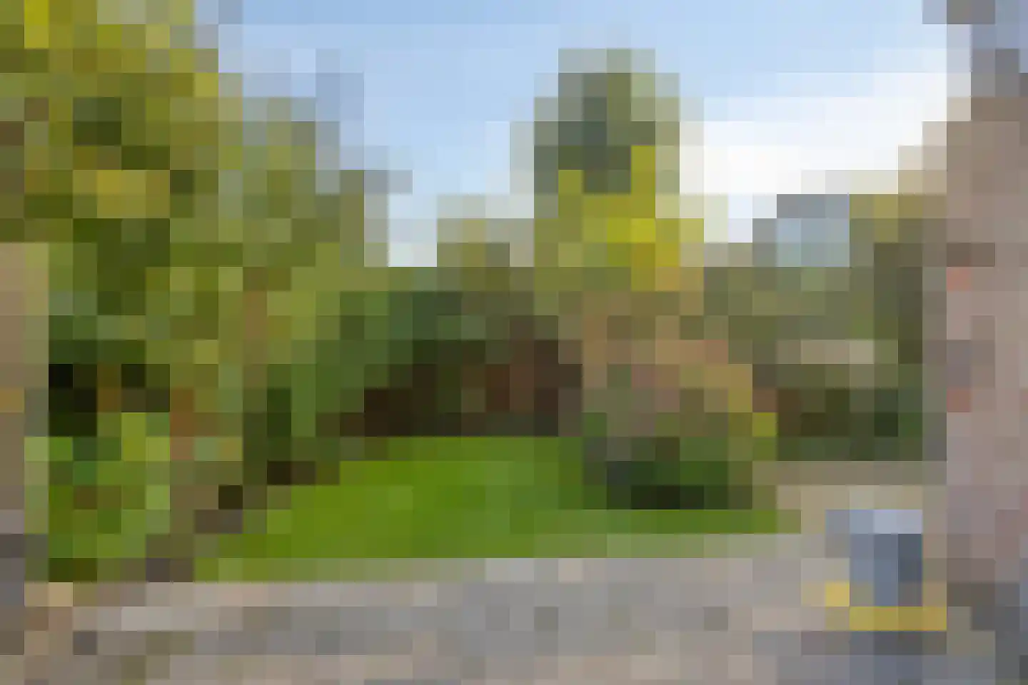 Dorpsstraat 81 i Castricum thumbnail 24