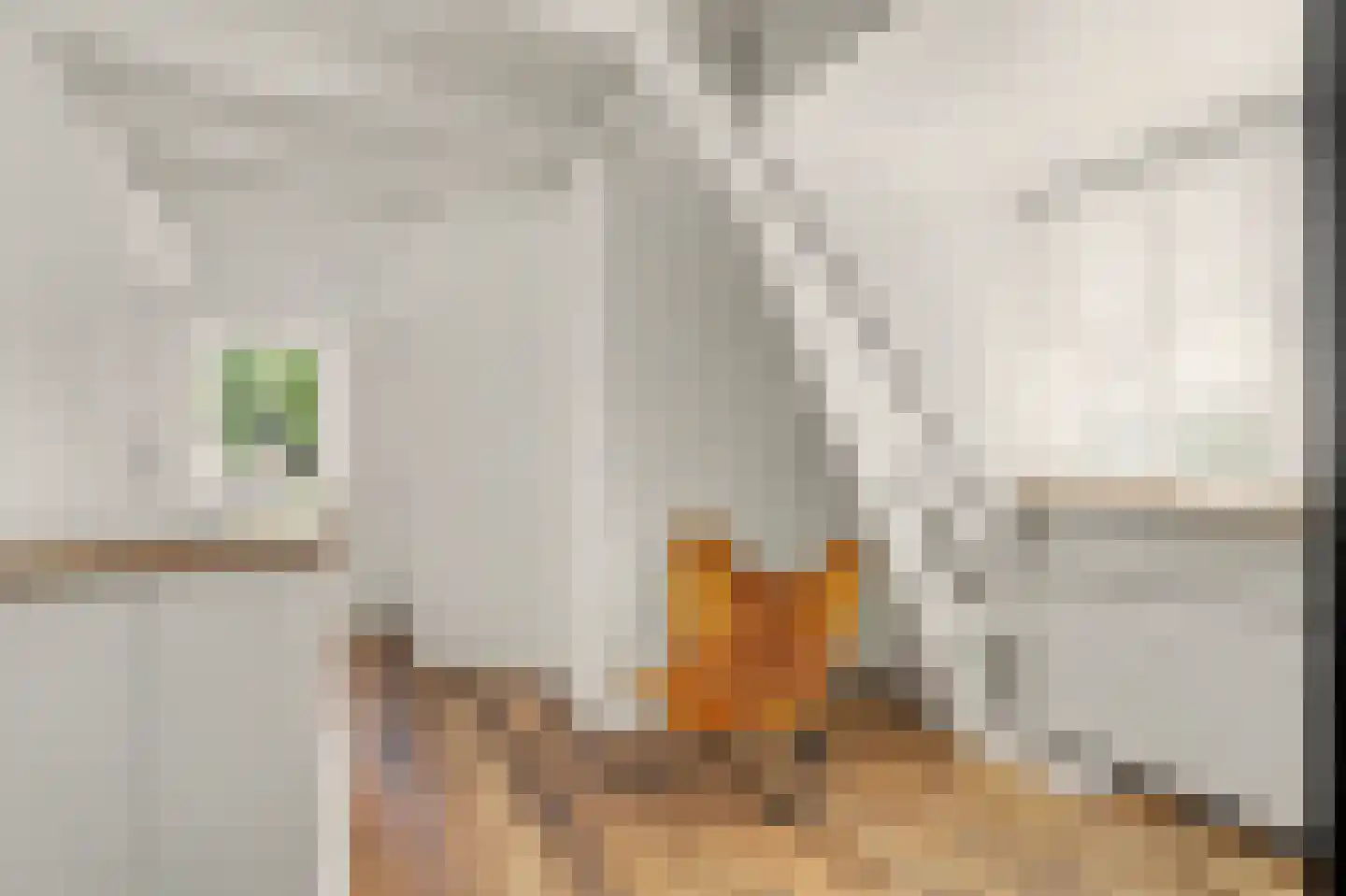 Dorpsstraat 81 Krabbendijke thumbnail 29
