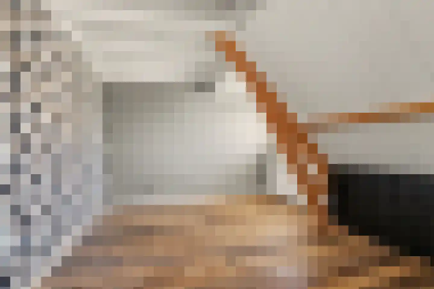 Dorpsstraat 81 Krabbendijke thumbnail 32