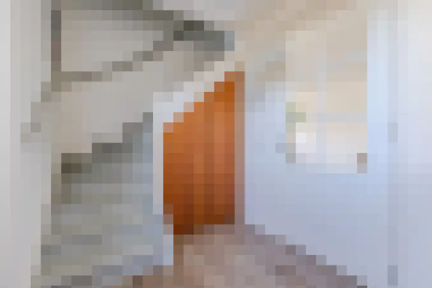 Dorpsstraat 818 Assendelft thumbnail 26