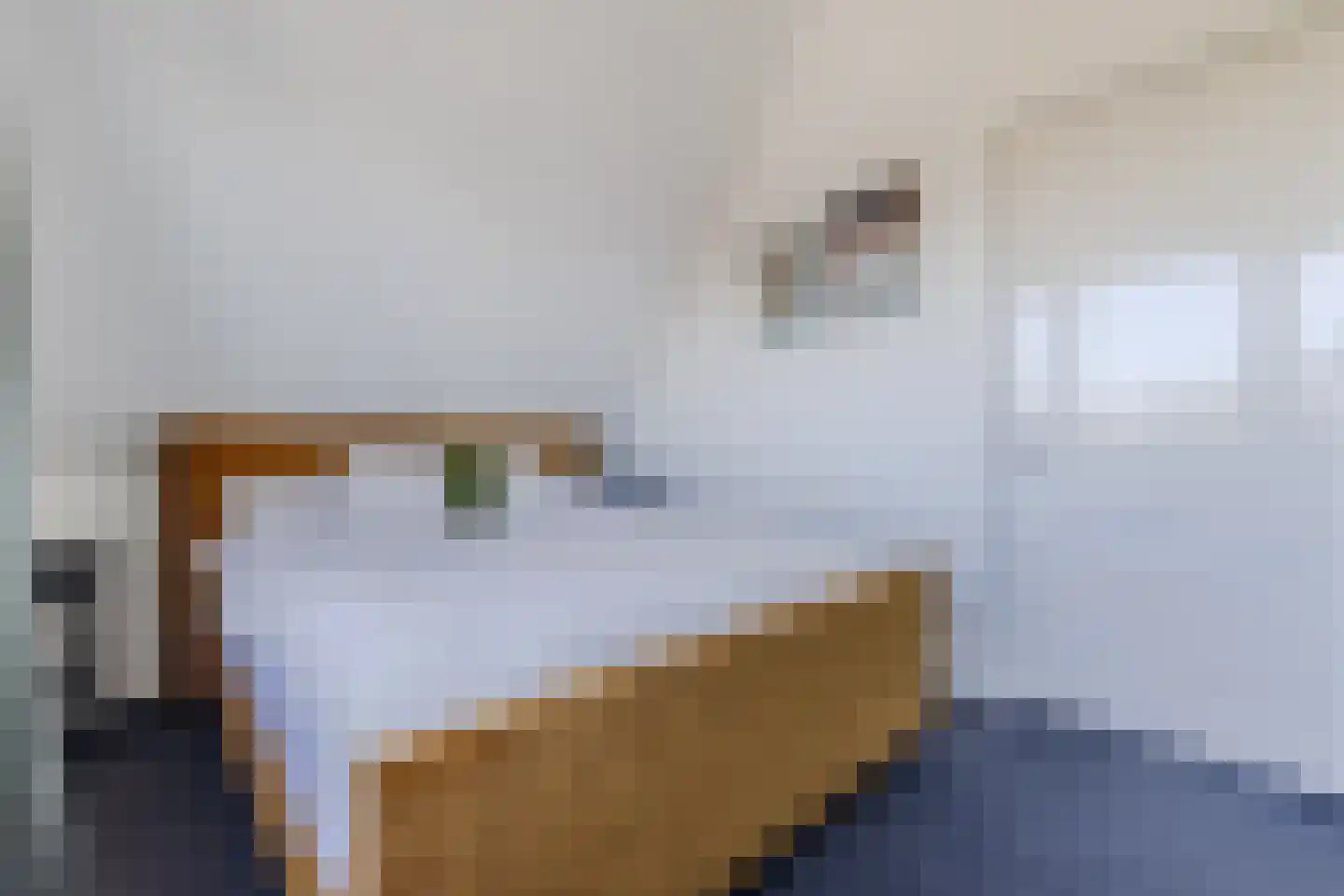 Dorpsstraat 818 Assendelft thumbnail 30