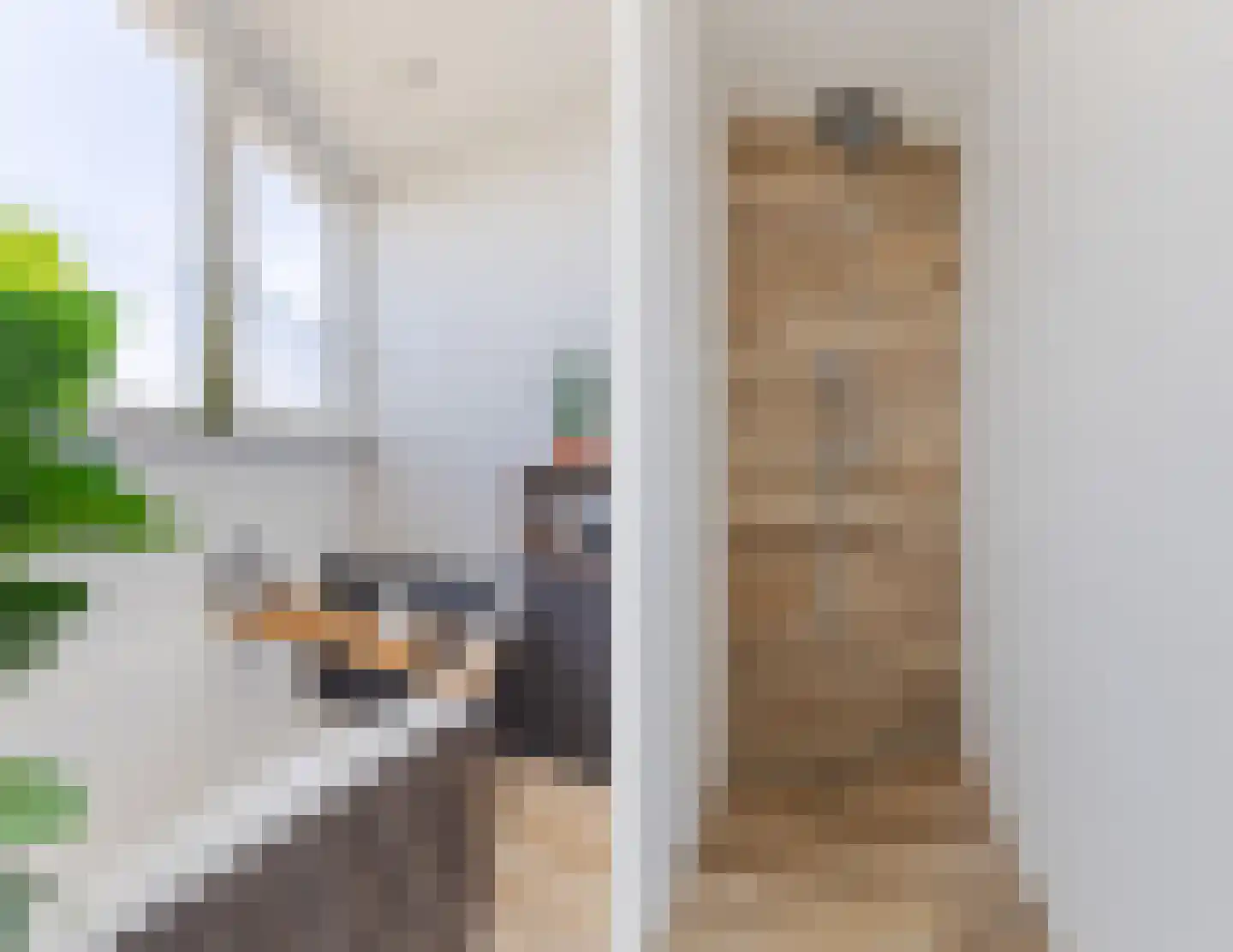 Dorpsstraat 818 Assendelft thumbnail 42