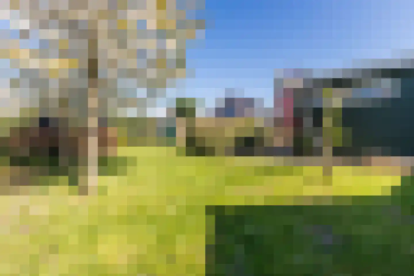Dorpsstraat 818 Assendelft thumbnail 52