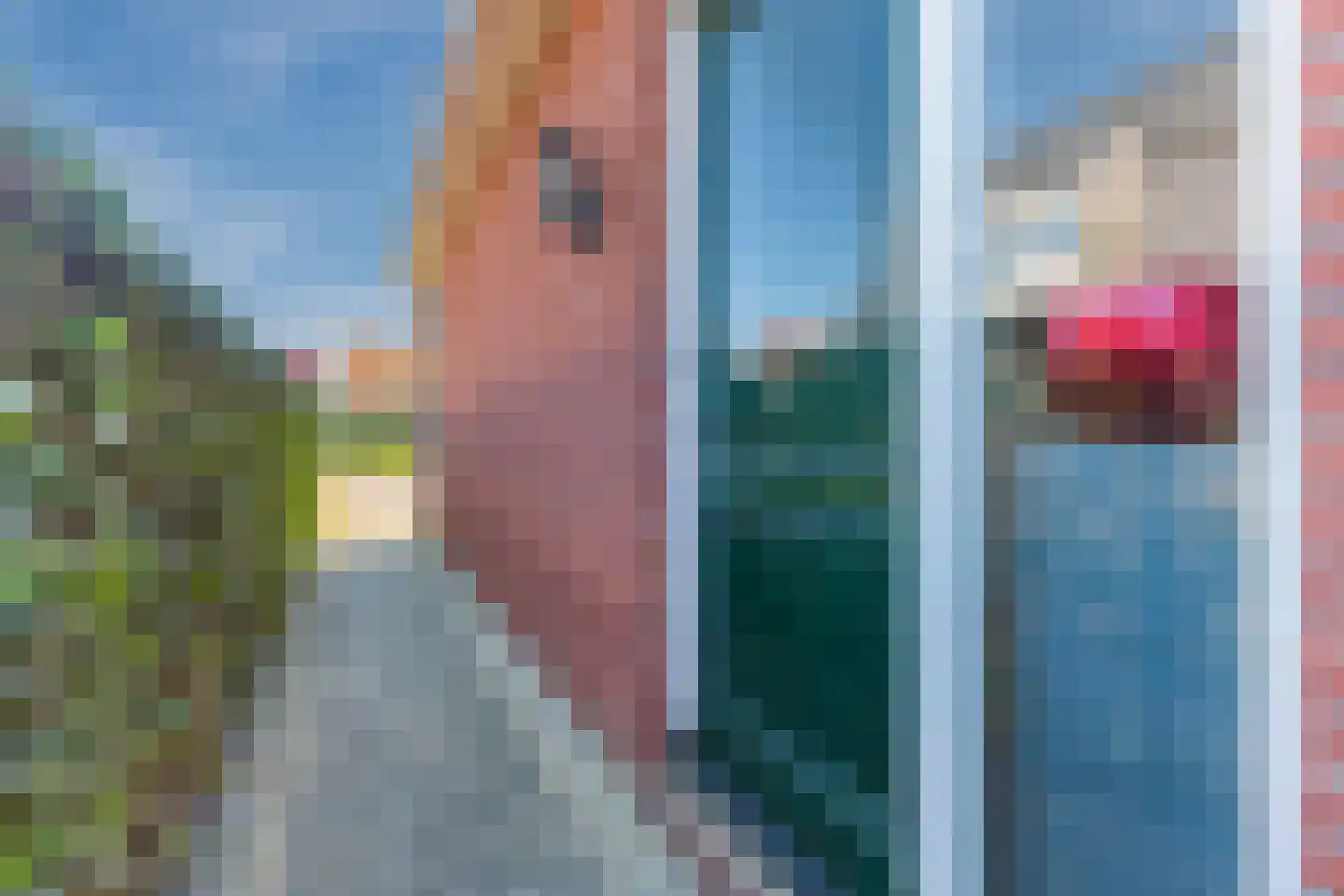 Dorpsstraat 818 Assendelft thumbnail 62