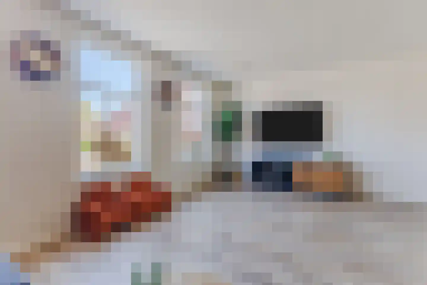 Dorpsstraat 818 Assendelft thumbnail 7