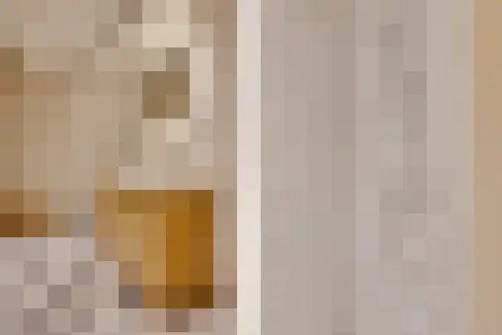 Dorpsstraat 82 A Lexmond thumbnail 33