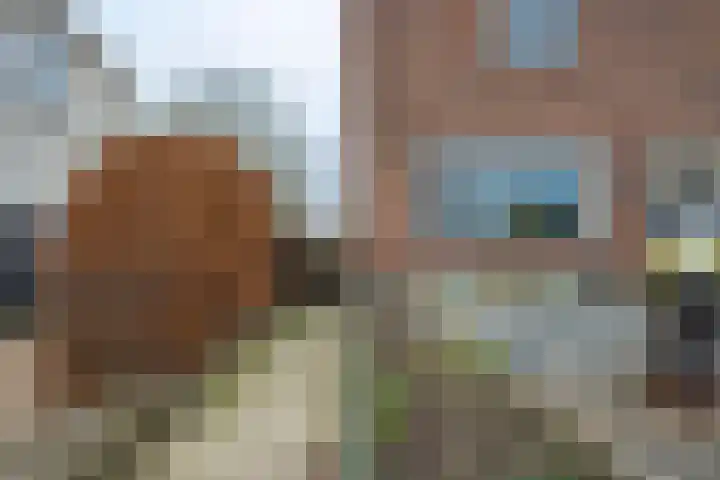 Dorpsstraat 82 a Wamel thumbnail 48