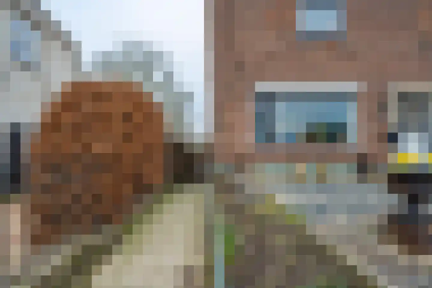 Dorpsstraat 82 a Wamel thumbnail 48