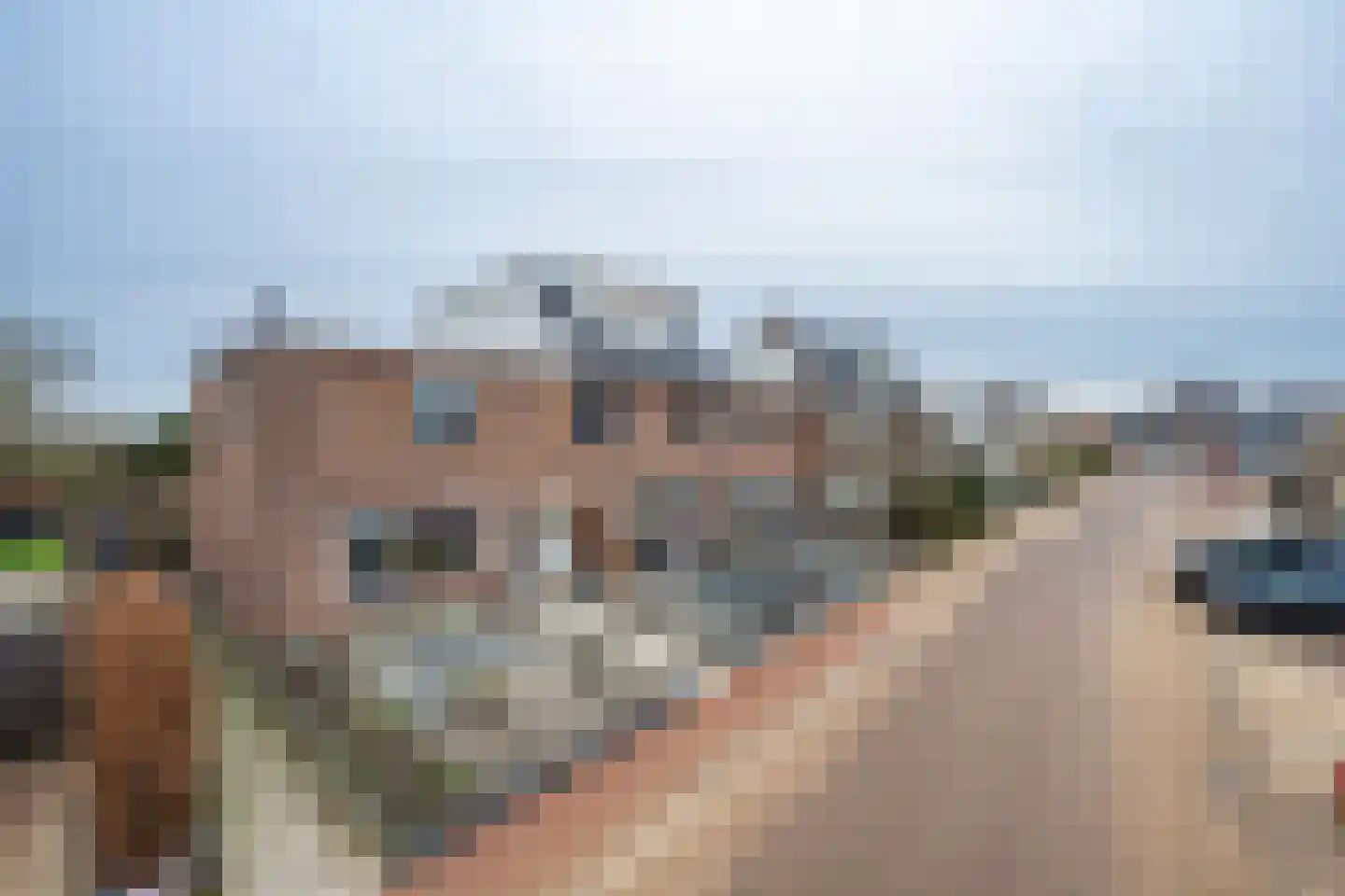 Dorpsstraat 82 a Wamel thumbnail 51