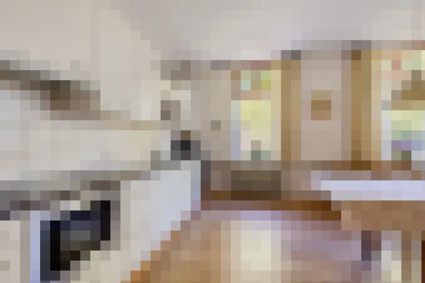 Dorpsstraat 82 Eexterveen thumbnail 10