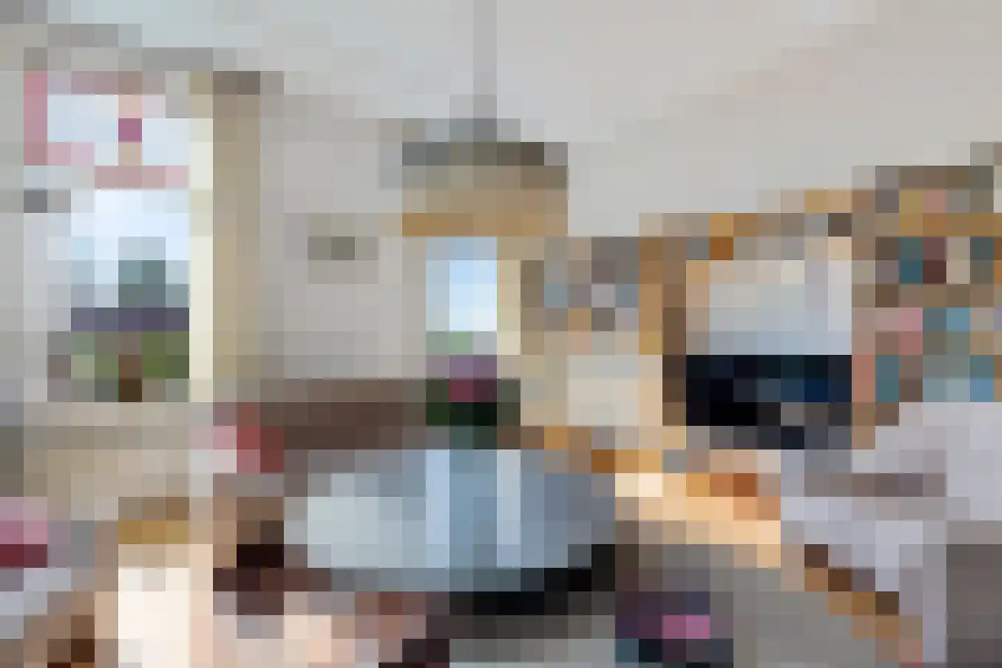 Dorpsstraat 82 Eexterveen thumbnail 19