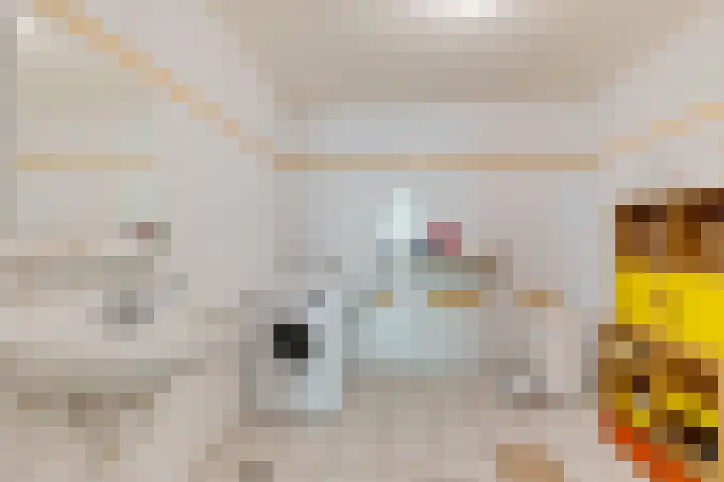 Dorpsstraat 82 Eexterveen thumbnail 31