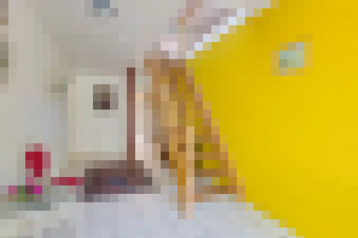 Dorpsstraat 82 Eexterveen thumbnail 36