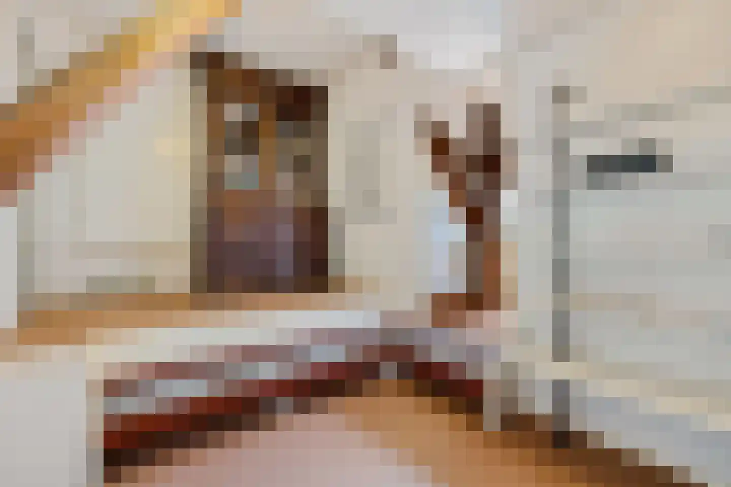 Dorpsstraat 82 Eexterveen thumbnail 45