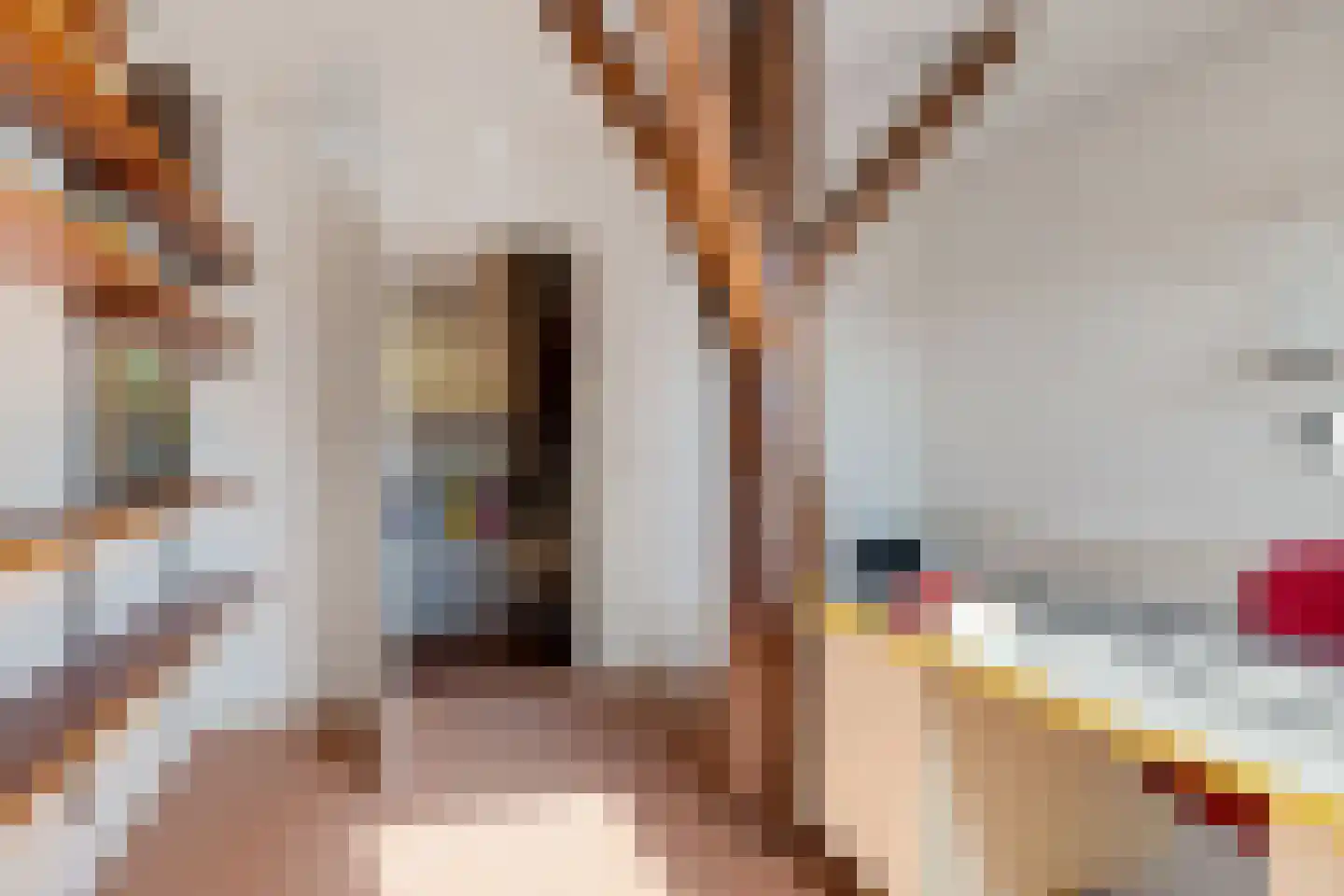 Dorpsstraat 82 Eexterveen thumbnail 47