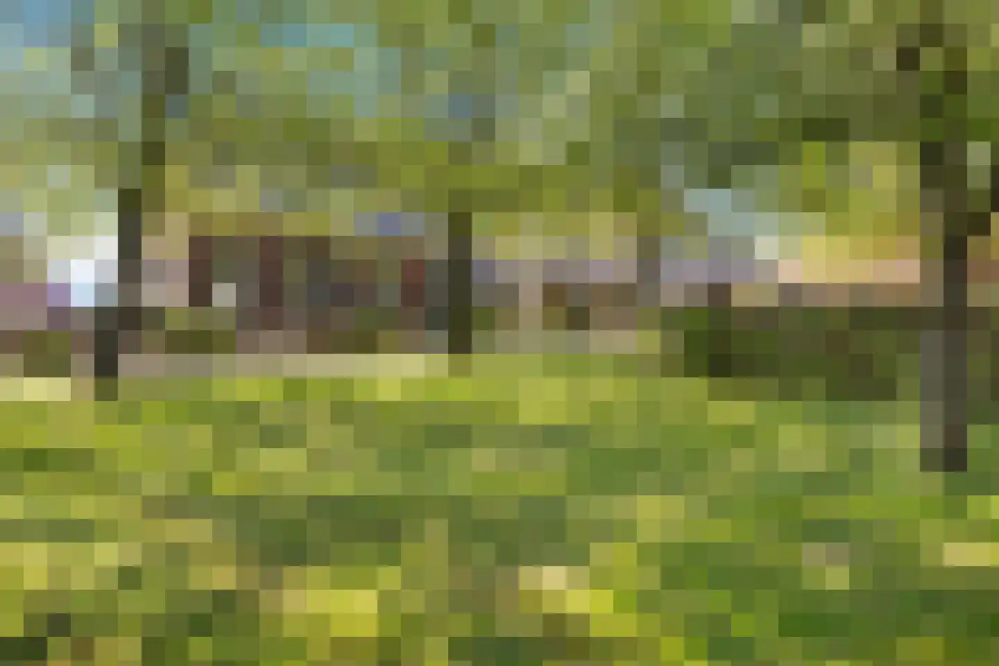 Dorpsstraat 82 Eexterveen thumbnail 5