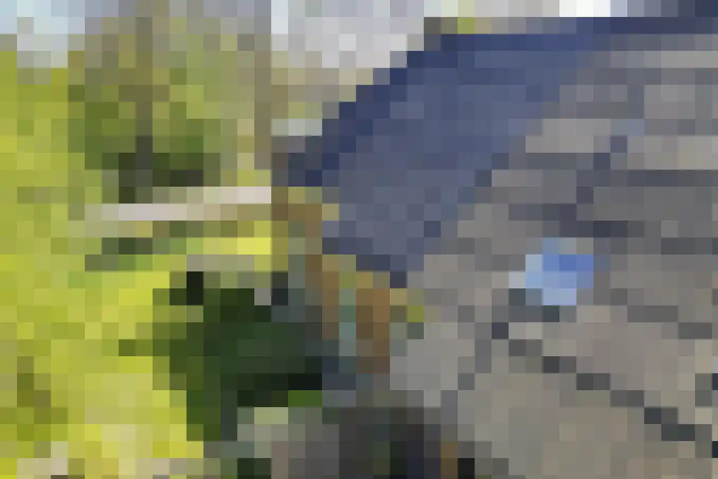Dorpsstraat 82 Eexterveen thumbnail 50