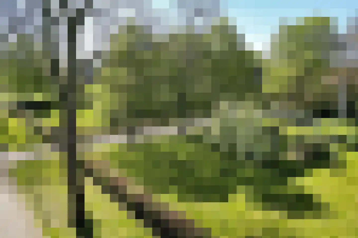 Dorpsstraat 82 Eexterveen thumbnail 51