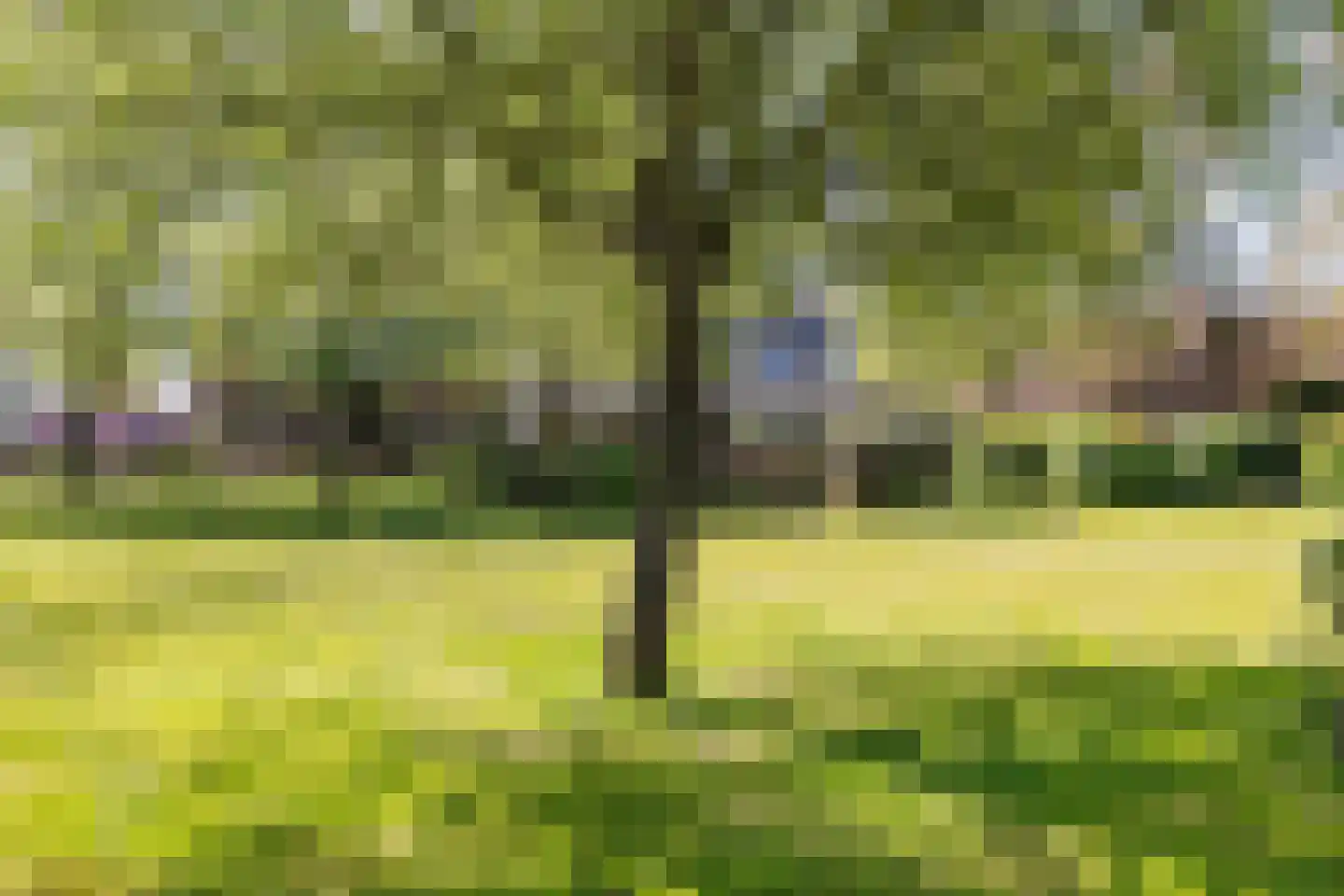 Dorpsstraat 82 Eexterveen thumbnail 54