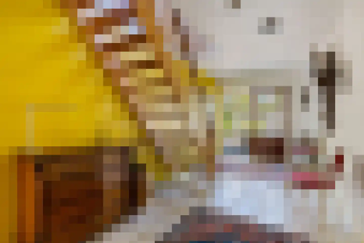 Dorpsstraat 82 Eexterveen thumbnail 8