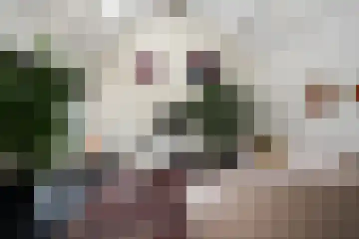 Dorpsstraat 82 Heinenoord thumbnail 13