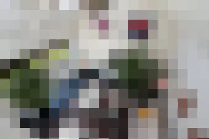 Dorpsstraat 82 Heinenoord thumbnail 14