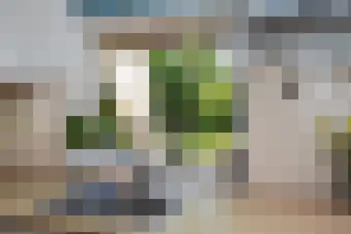 Dorpsstraat 82 Heinenoord thumbnail 22