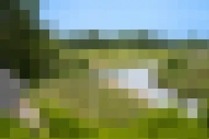 Dorpsstraat 82 Heinenoord thumbnail 33