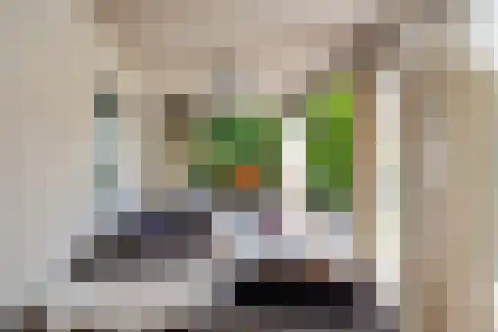 Dorpsstraat 82 Heinenoord thumbnail 35