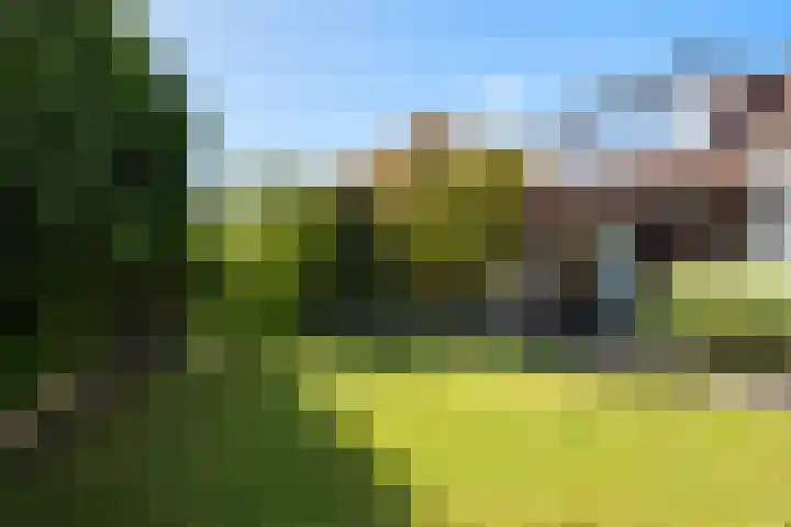 Dorpsstraat 82 Heinenoord thumbnail 44