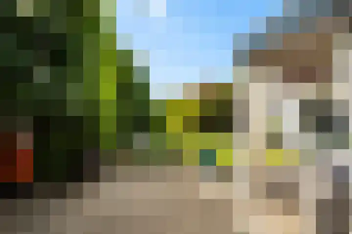 Dorpsstraat 82 Heinenoord thumbnail 45