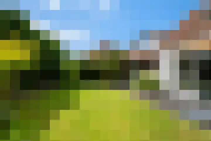 Dorpsstraat 82 Heinenoord thumbnail 46