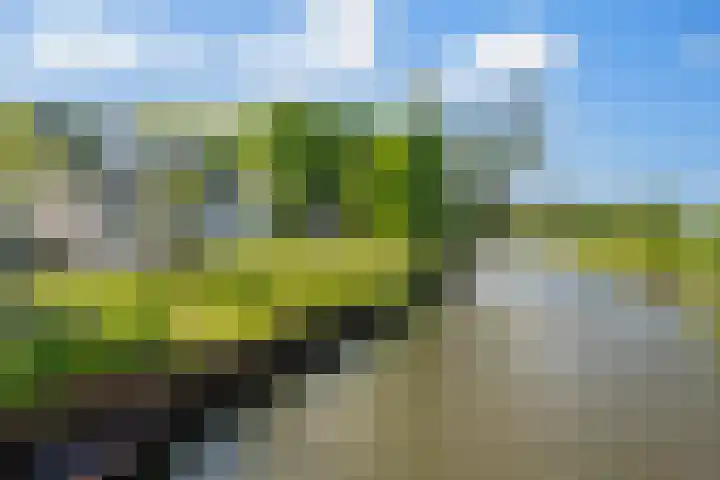 Dorpsstraat 82 Heinenoord thumbnail 61