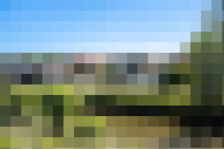 Dorpsstraat 82 Heinenoord thumbnail 8