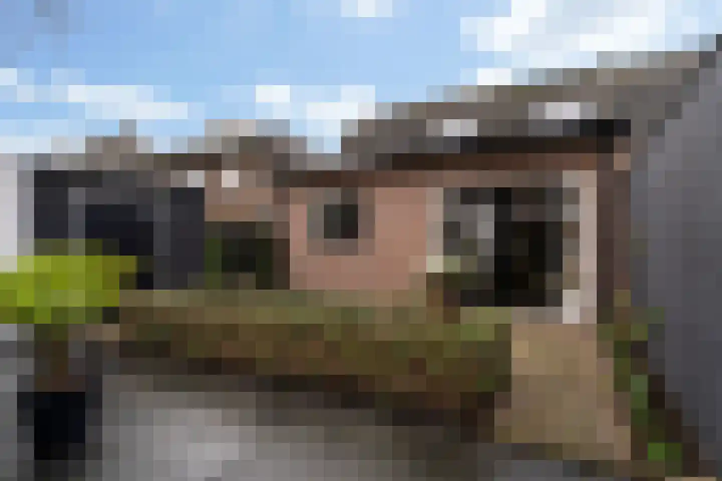 Dorpsstraat 82 Renswoude thumbnail 34