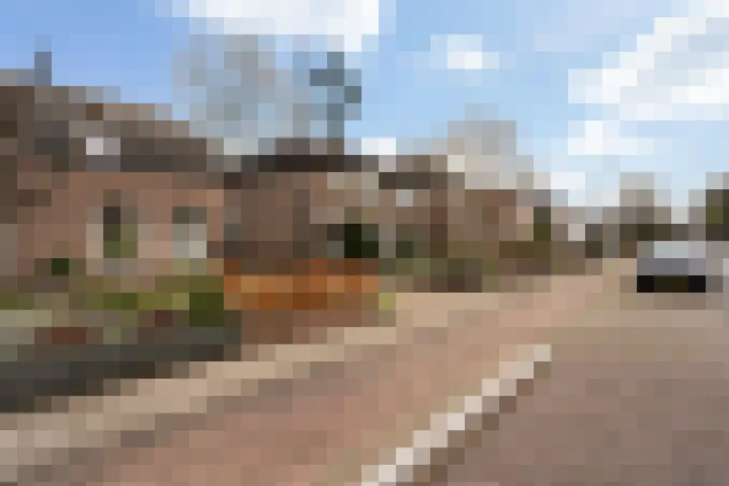 Dorpsstraat 82 Renswoude thumbnail 41
