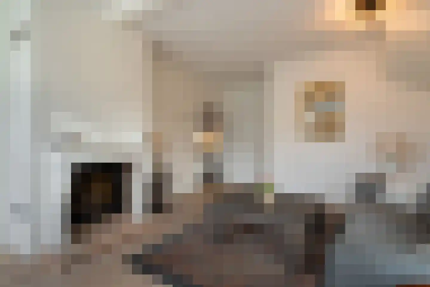 Dorpsstraat 82 Renswoude thumbnail 6